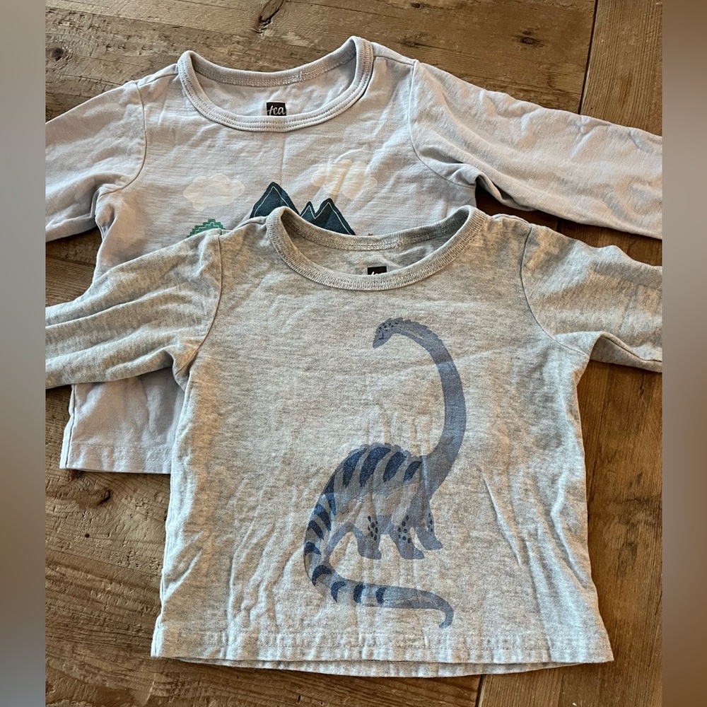 Tea Collection - 9-12M little boy perfect condition 2 long sleeve shirts
